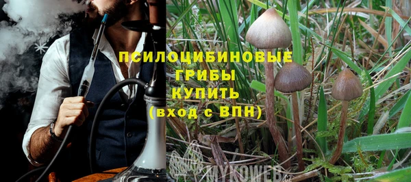 мяу мяу кристалл Алексин