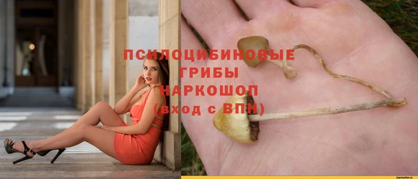 спиды Алексеевка