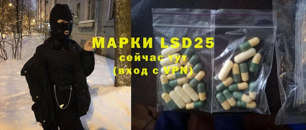 ECSTASY Алзамай