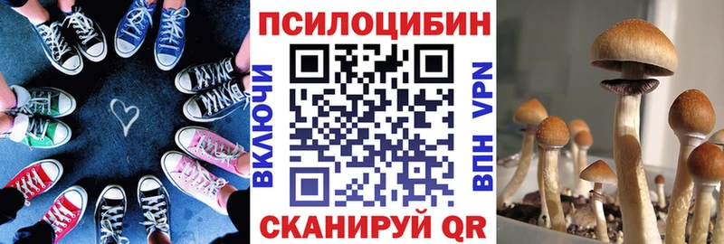 маркетплейс телеграм  Покров  Галлюциногенные грибы Cubensis 